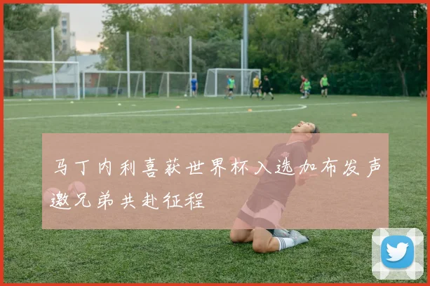 马丁内利喜获世界杯入选加布发声邀兄弟共赴征程